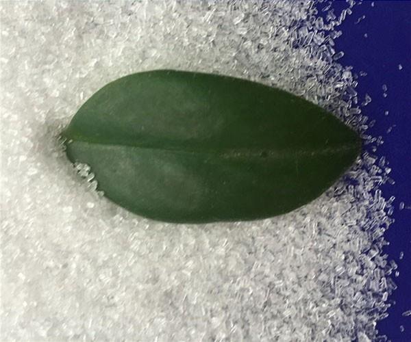 在醫學上硫酸鎂廠家的產品有什么作用